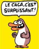 Avatar de l’utilisateur